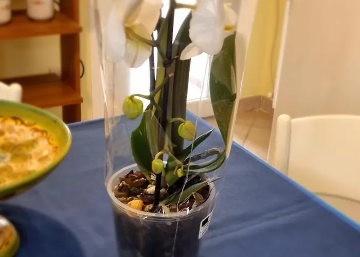 Дом отдыха Casa Orchidea