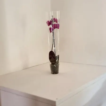 Holiday home Casa Orchidea *