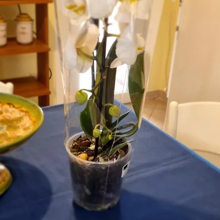 Holiday home Casa Orchidea
